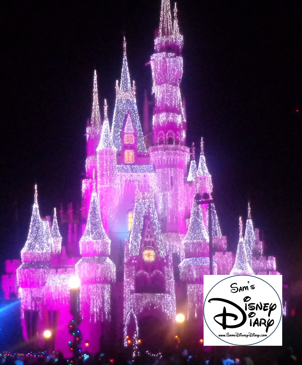 Cinderella Castle Christmas lights take on special meaning during Mickey’s Very merry Christmas Party.
