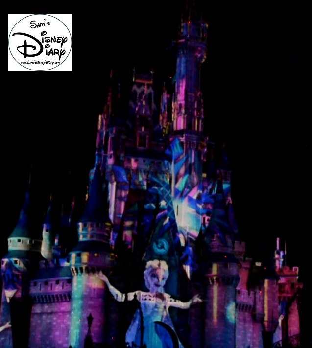 Sams Disney Diary 37 Celebrate The Magic (13)