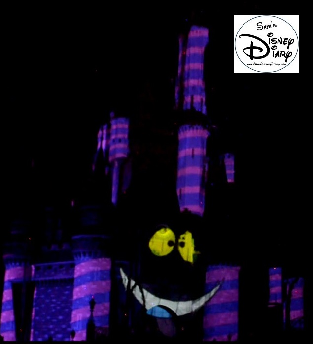 Sams Disney Diary 37 Celebrate The Magic (5)