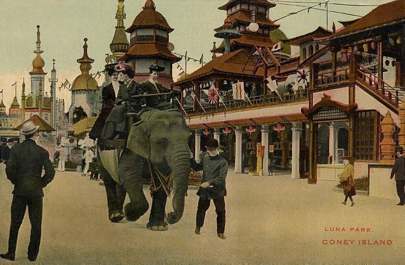 Elephant Rides at the Real Luna Park - Cony Island