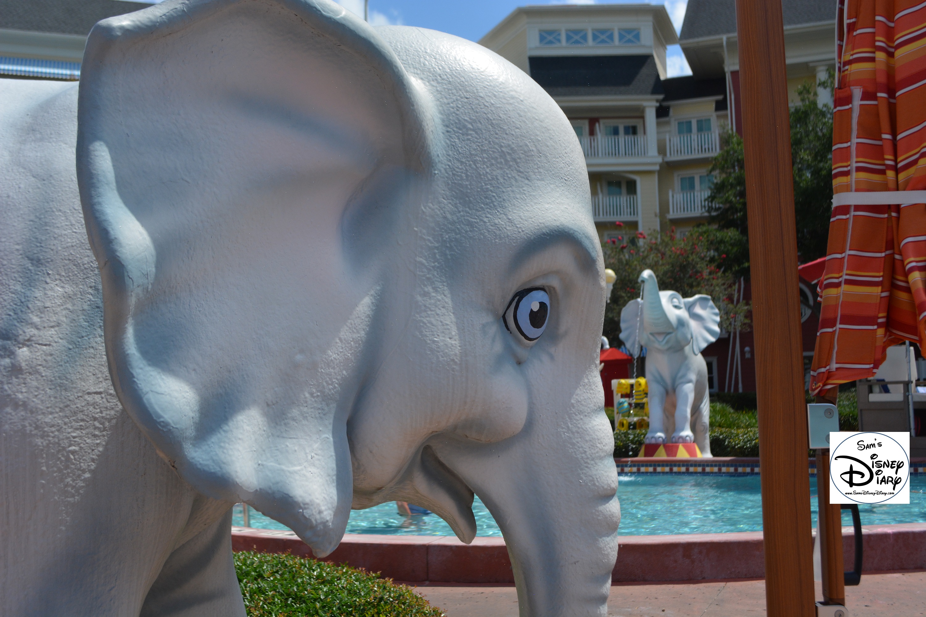 Elephants at the Pool? Why?