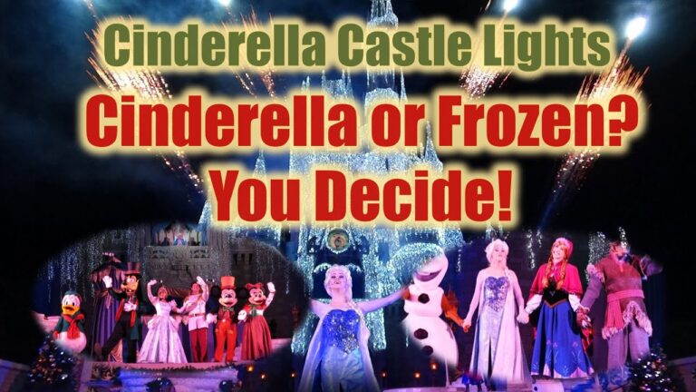 Walt Disney World Magic Kingdom Cinderella Castle Lights or Frozen