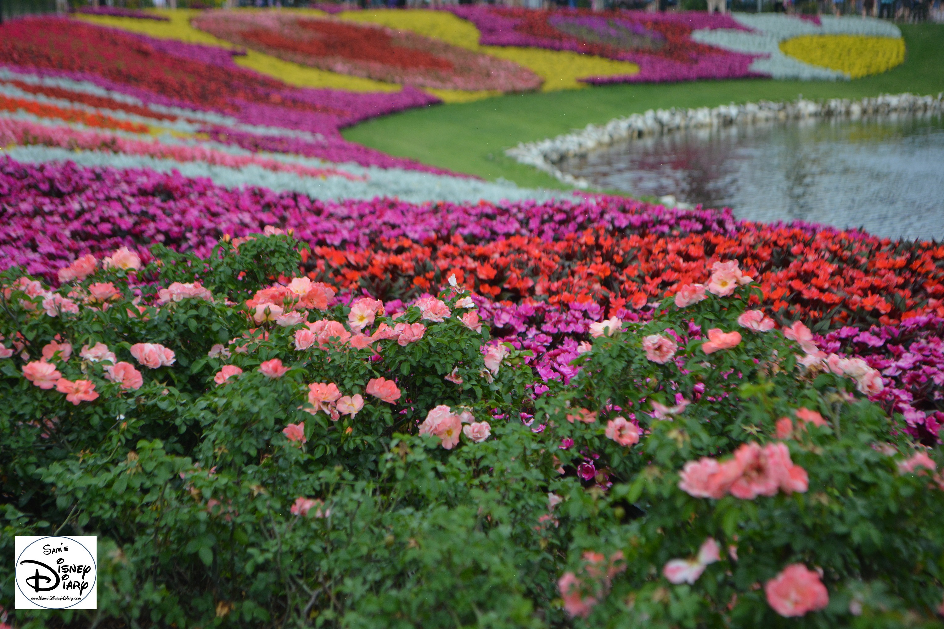 Epcot Flower and Garden Festival - Festival Blooms