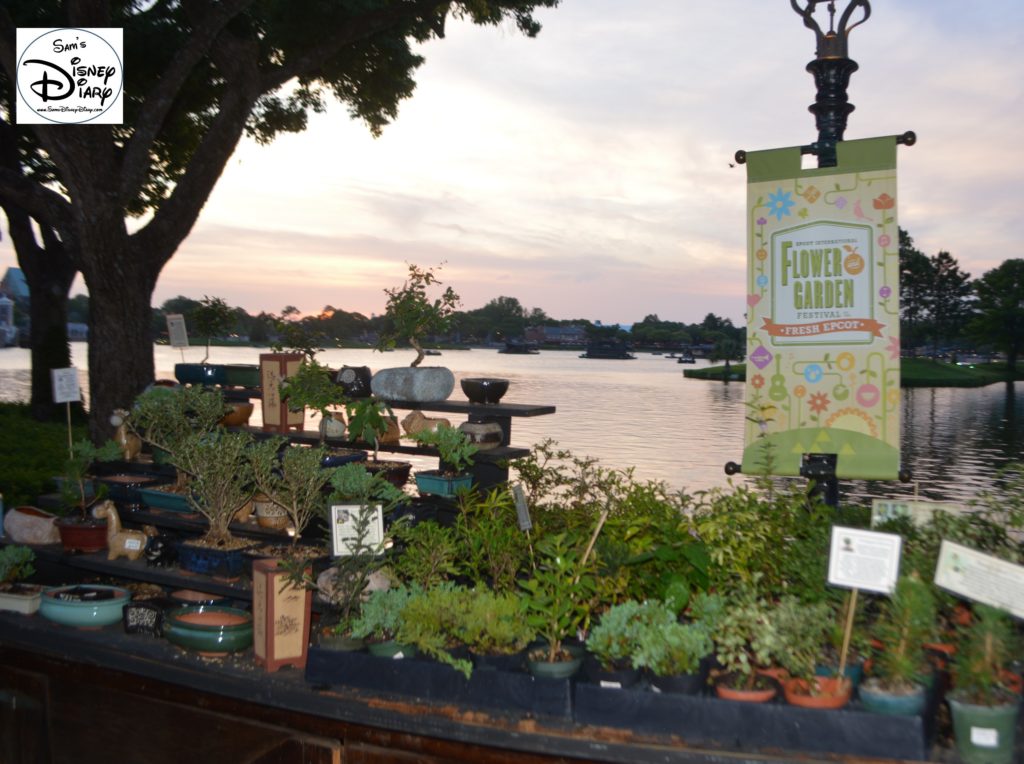 Epcot Flower and Garden Festival - Merchandise