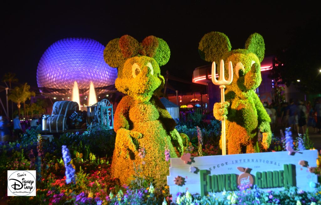 Epcot Flower and Garden Festival - Mickey and Minnie Topiaries at night