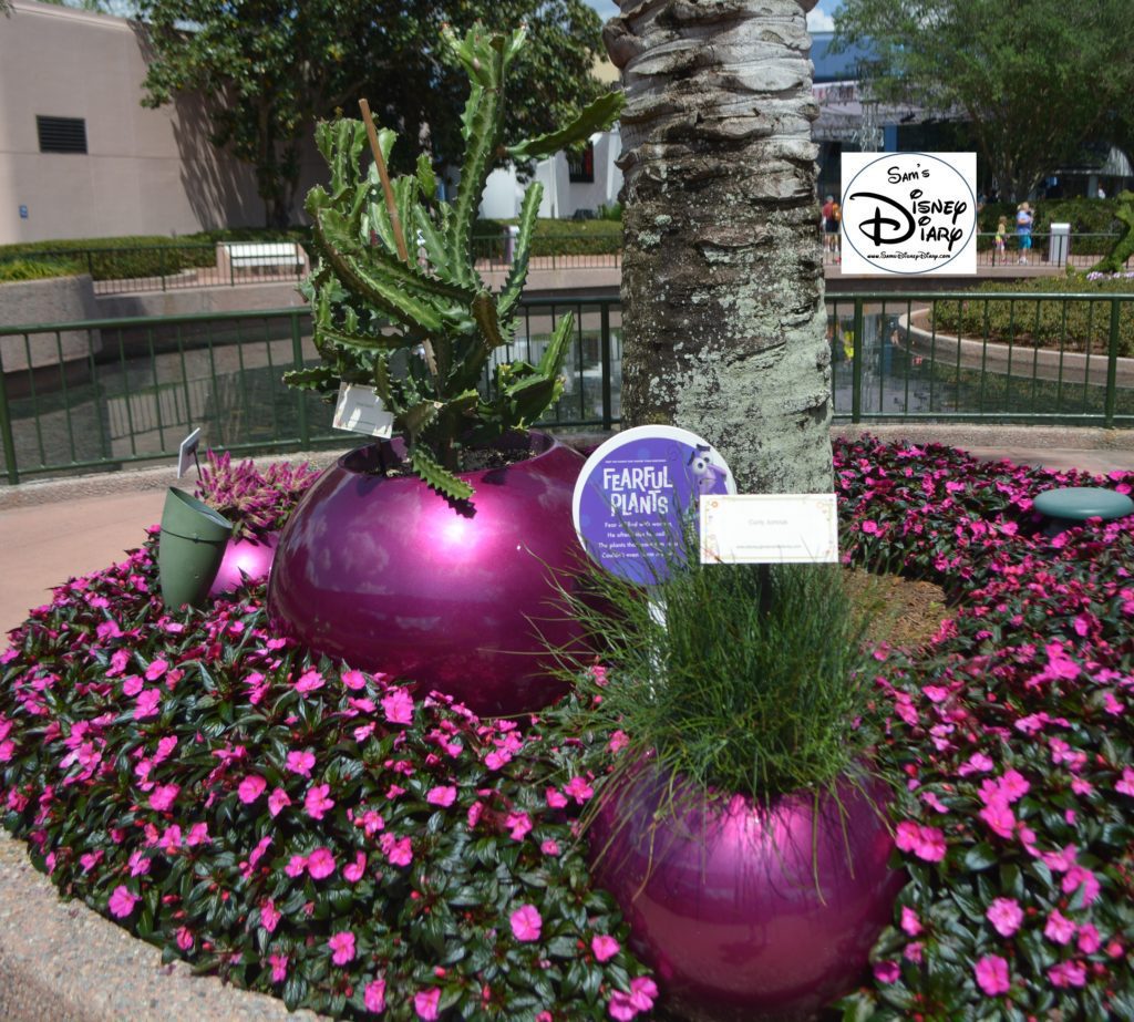 Epcot Flower and Garden Festival - The inside Out Emotion Garden