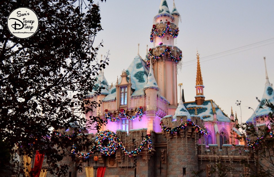 SamsDisneyDiary 82: Disneyland Never miss a castle picture