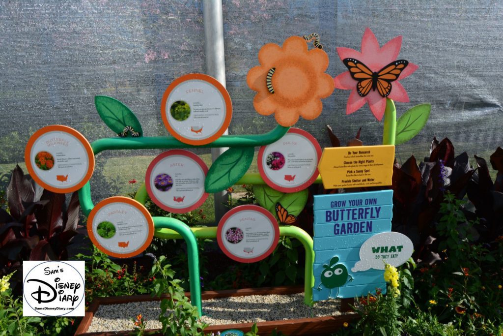 The 2017 Epcot International Flower and Garden Festival - Grow your own Butterfly Garden