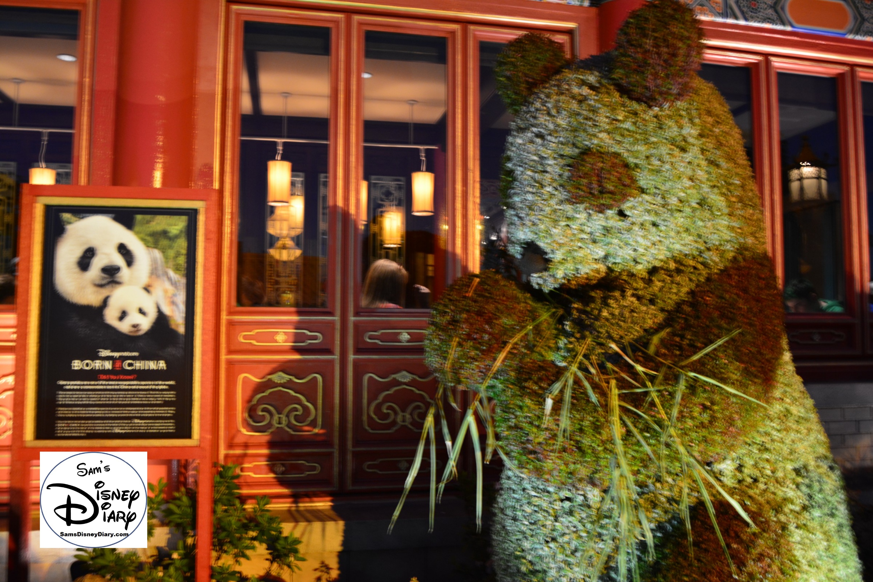 The 2017 Epcot International Flower and Garden Festival - Lighting enhances the display