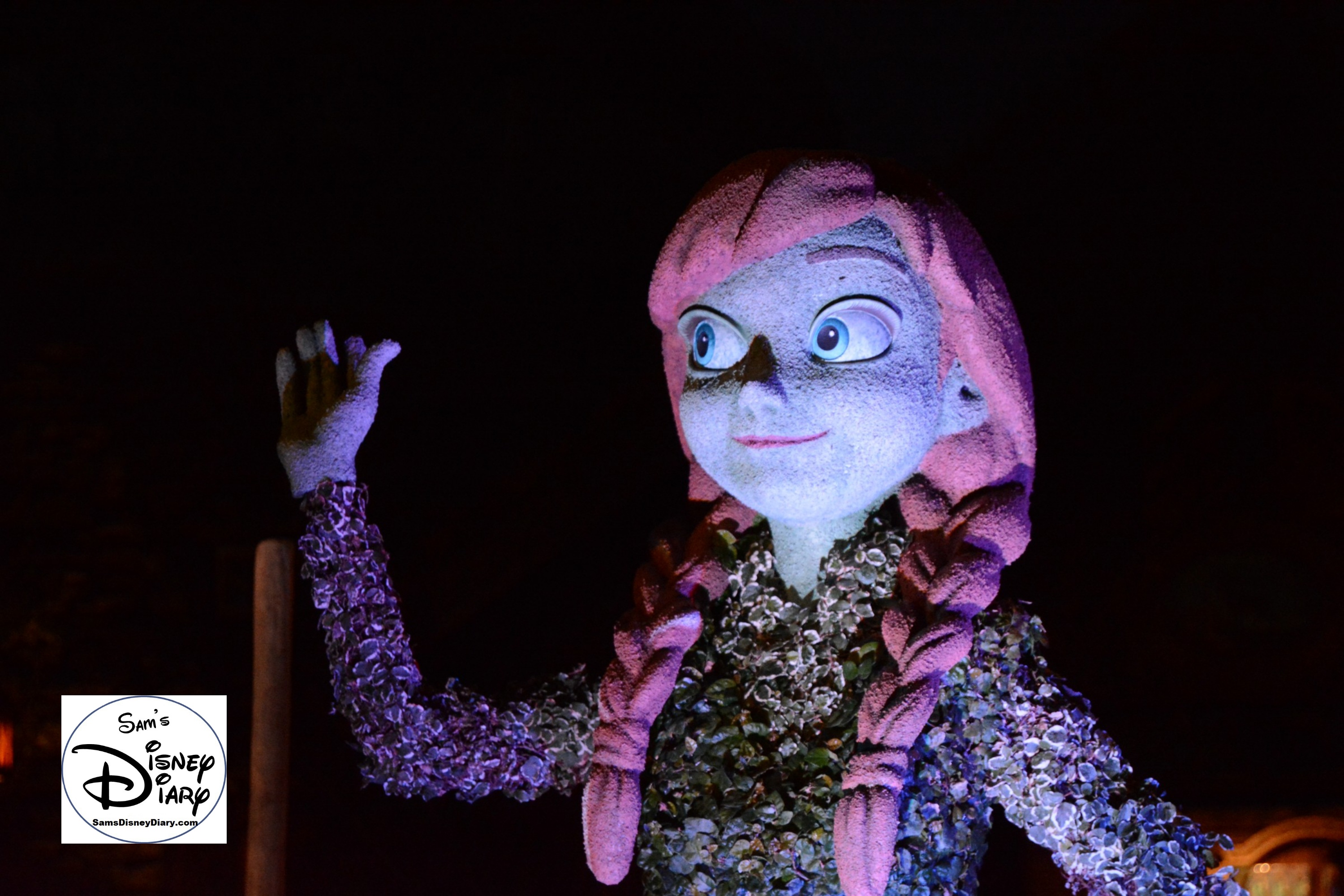 The 2017 Epcot International Flower and Garden Festival -Anna at night in Norway