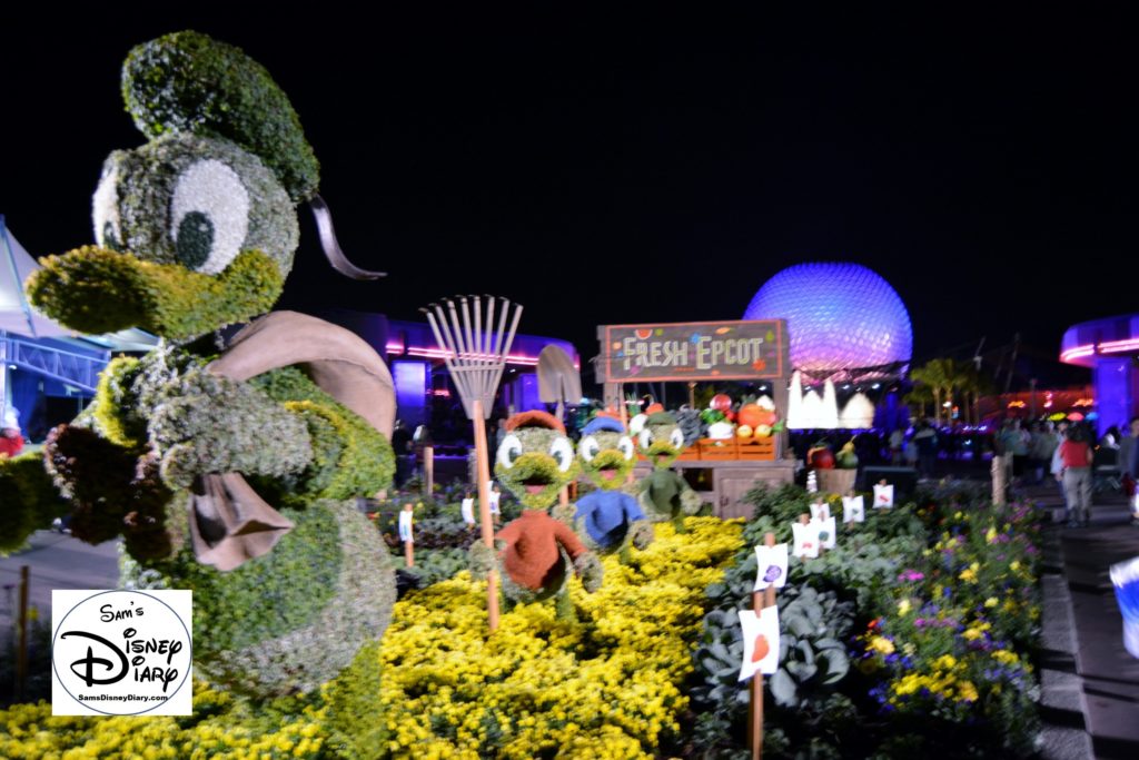 The 2017 Epcot International Flower and Garden Festival - It's almost like a second festival with the night lighting.