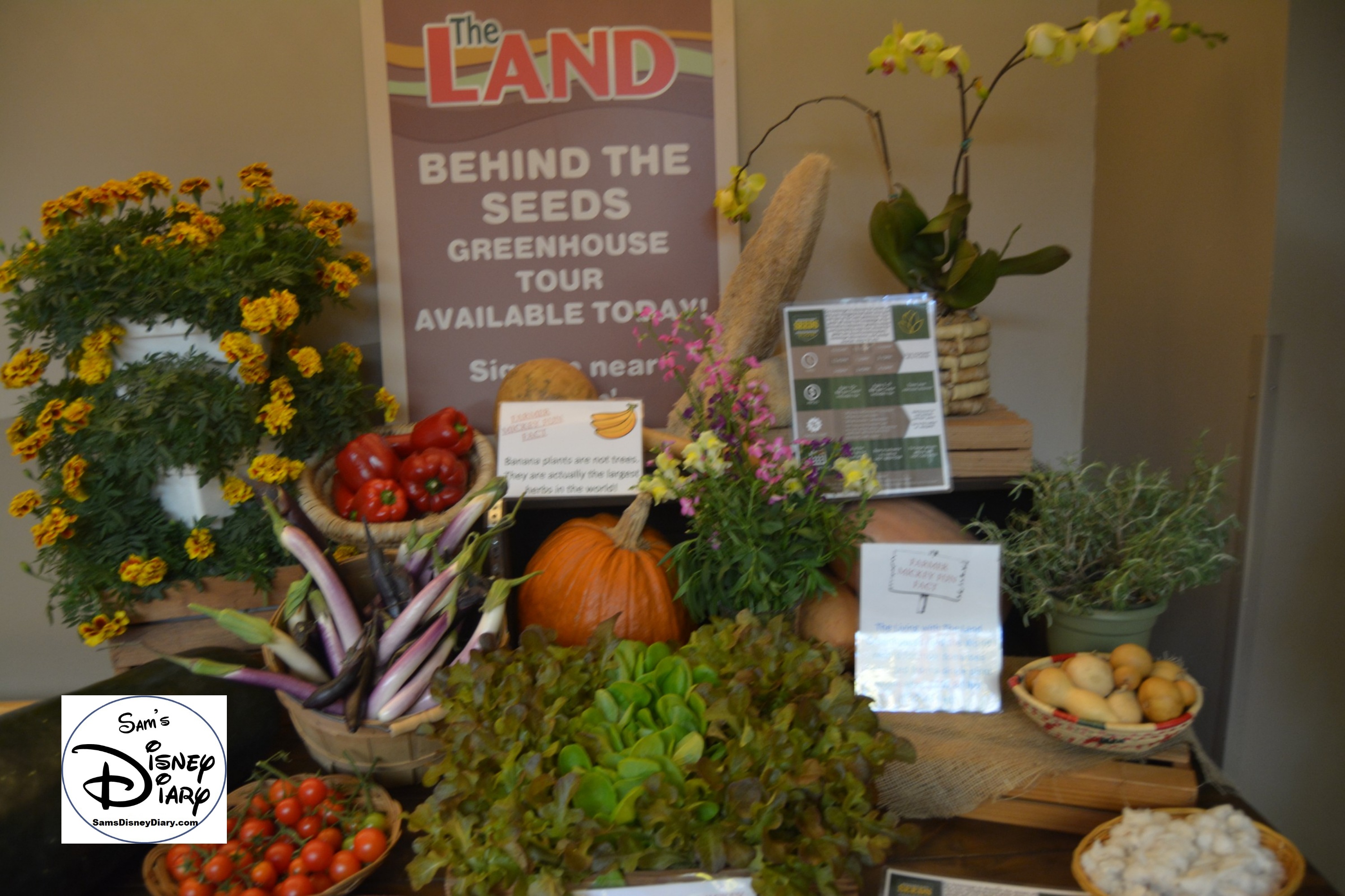 The 2017 Epcot International Flower and Garden Festival - A display for the Behind the Seeds Tour near Soarin