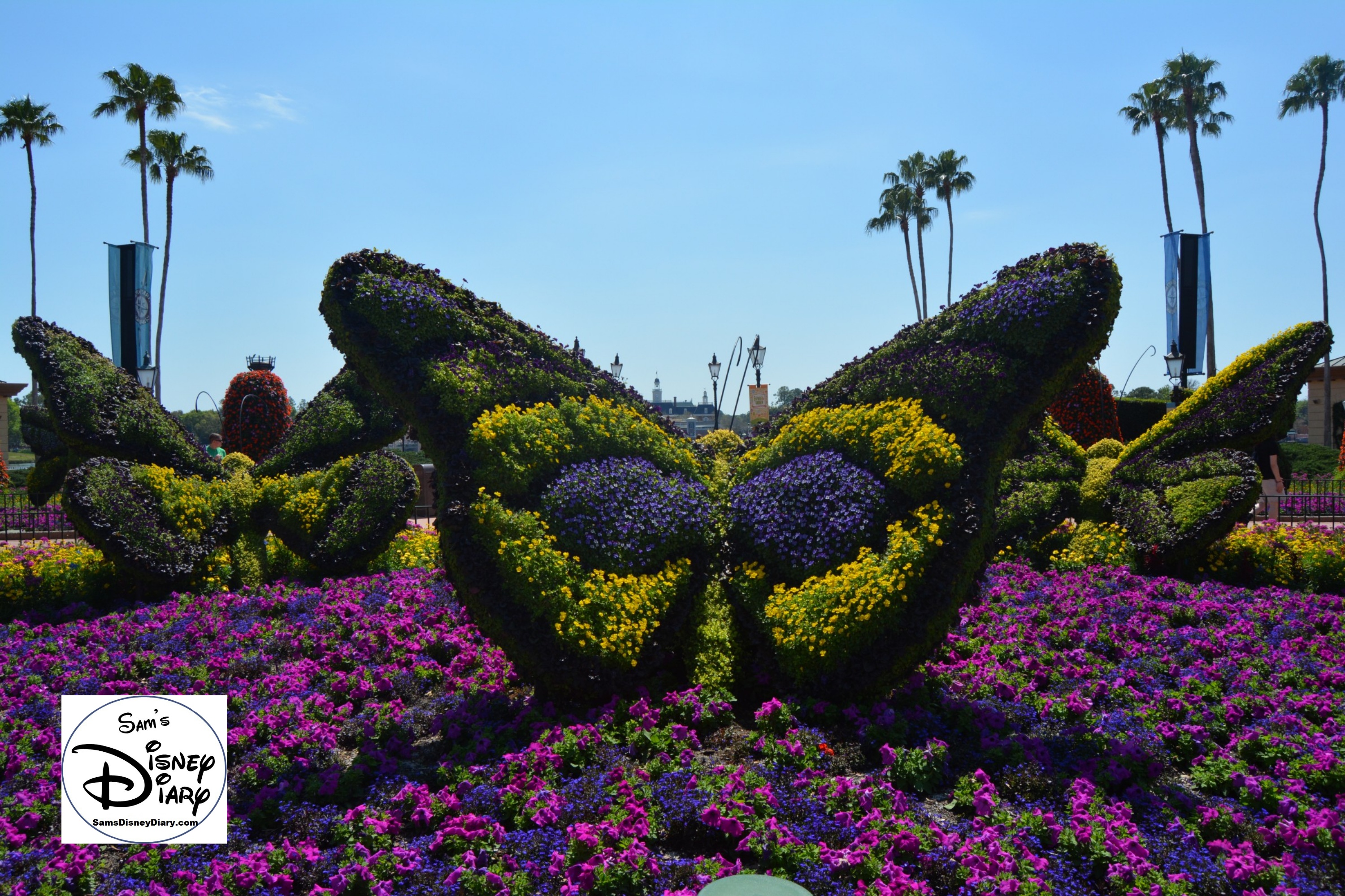 The 2017 Epcot International Flower and Garden Festival - Butterflies, near the butterfly house
