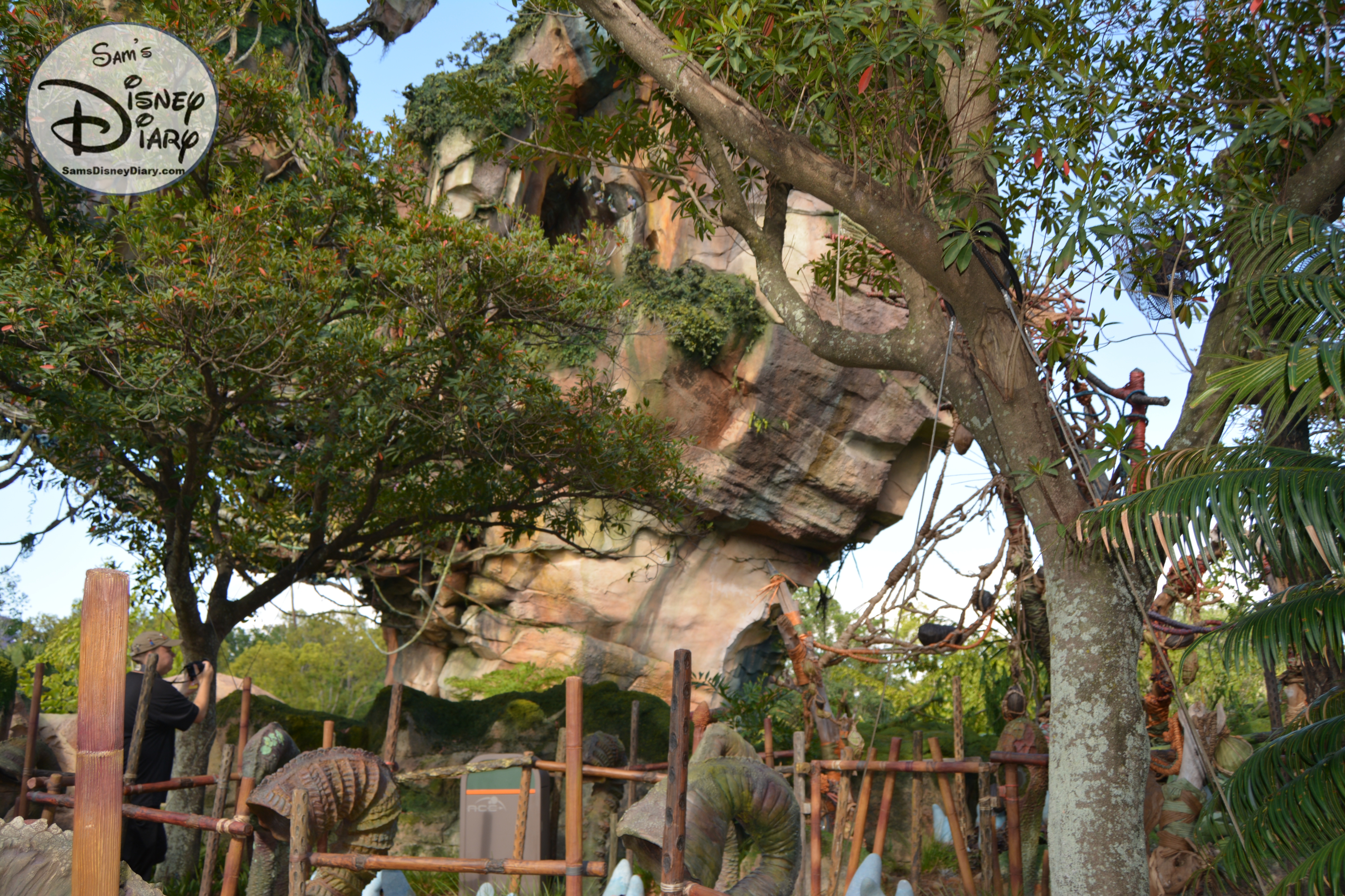 More views from the Standby Queue to Flight of Passage