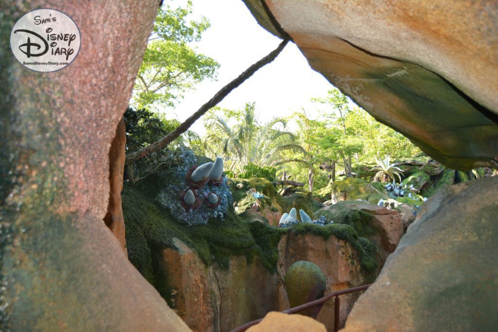More views from the Standby Queue to Flight of Passage