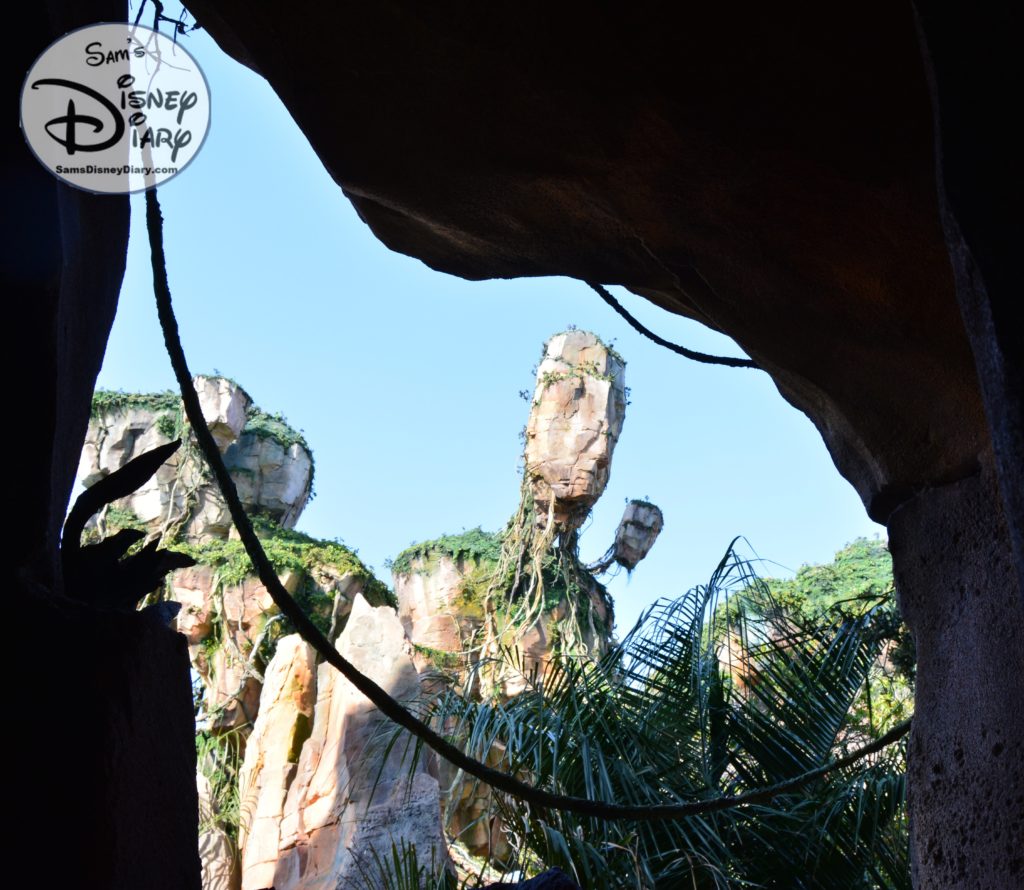 More views from the Standby Queue to Flight of Passage