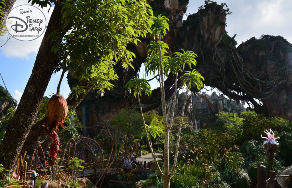 A few of the valley from the Queue of "Flight of Passage"