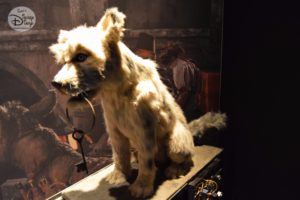 The Hero of Pirates of the Caribbean, the Dog. Complete with behind the scenes "plumbing" part of the D23 Expo Pirates Archive