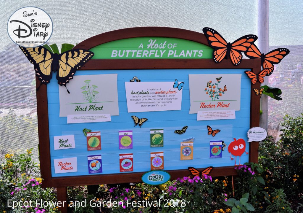 Sams Disney Diary Epcot Flower and Garden Festival 2018 Butterfly House