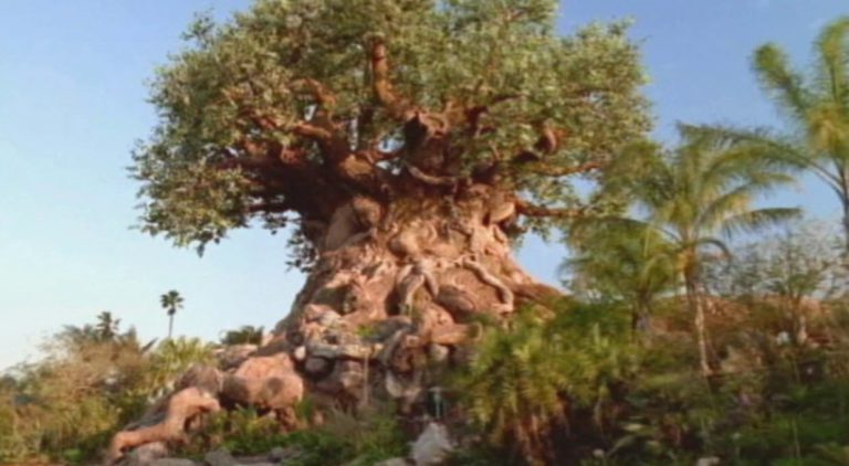 Disney's Animal Kingdom 2004