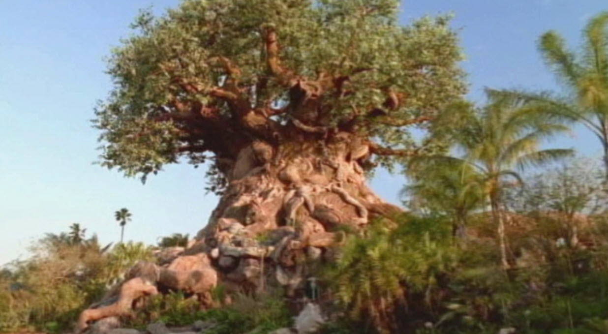 Disney's Animal Kingdom 2004