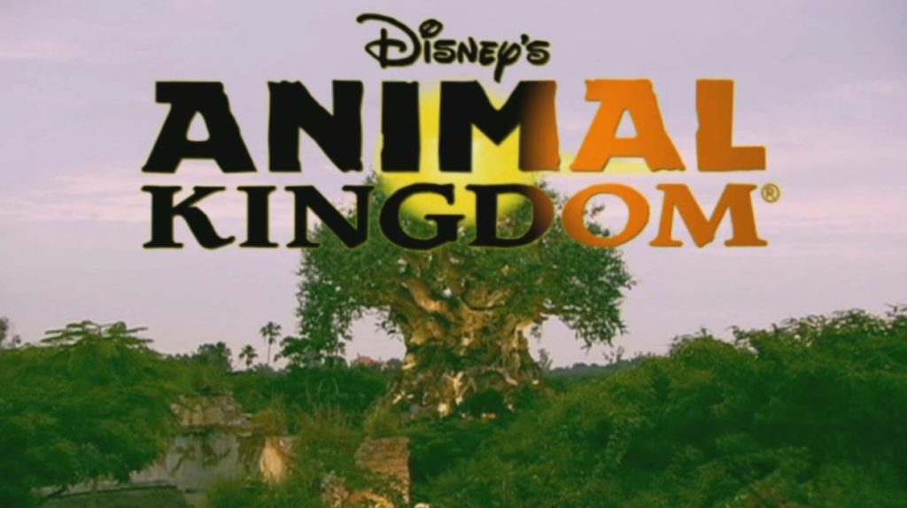 Disney's Animal Kingdom 2004