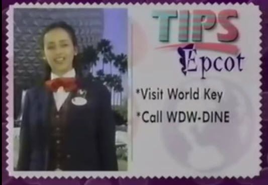 Walt Disney World Resort TV 1996 25th Anniversary Edition