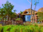Disney Animal Kingdom Villas, a Village Comes to Life (2007)