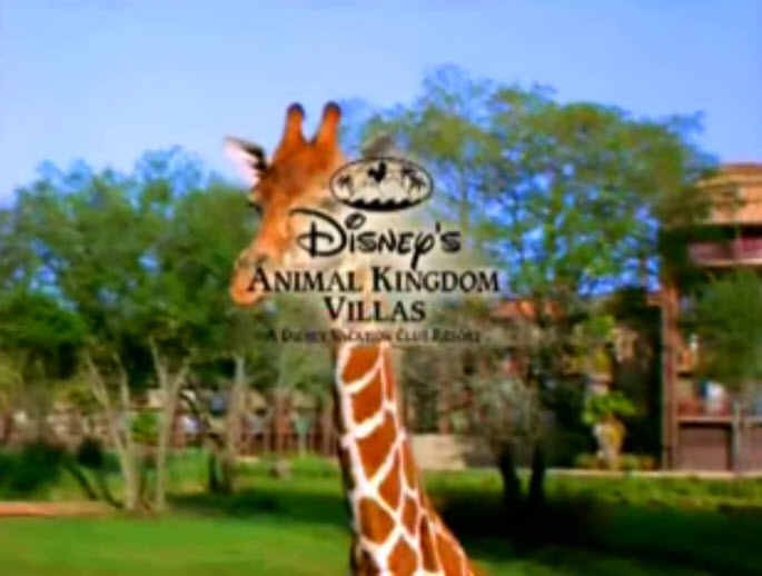 Disney Animal Kingdom Villas, a Village Comes to Life (2007)