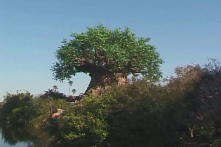 Disney’s Animal Kingdom (2010)