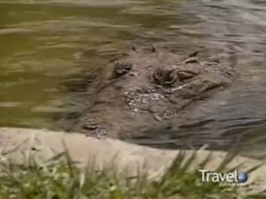 Travel Channel World’s Best Family Vacation: Orlando Florida (2000)