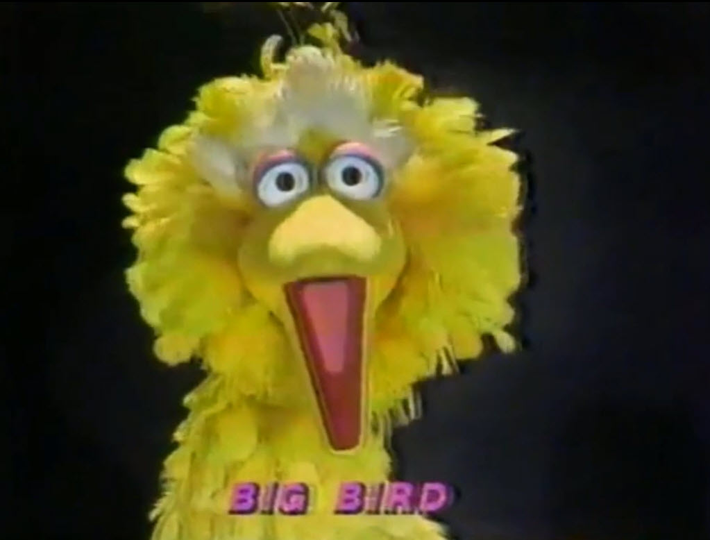 NBC Salutes the 25th Anniversary of the Wonderful World of Disney Big Bird