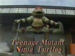Anne Murray in Disney World (1991) Teenage Mutant Ninja Turtles