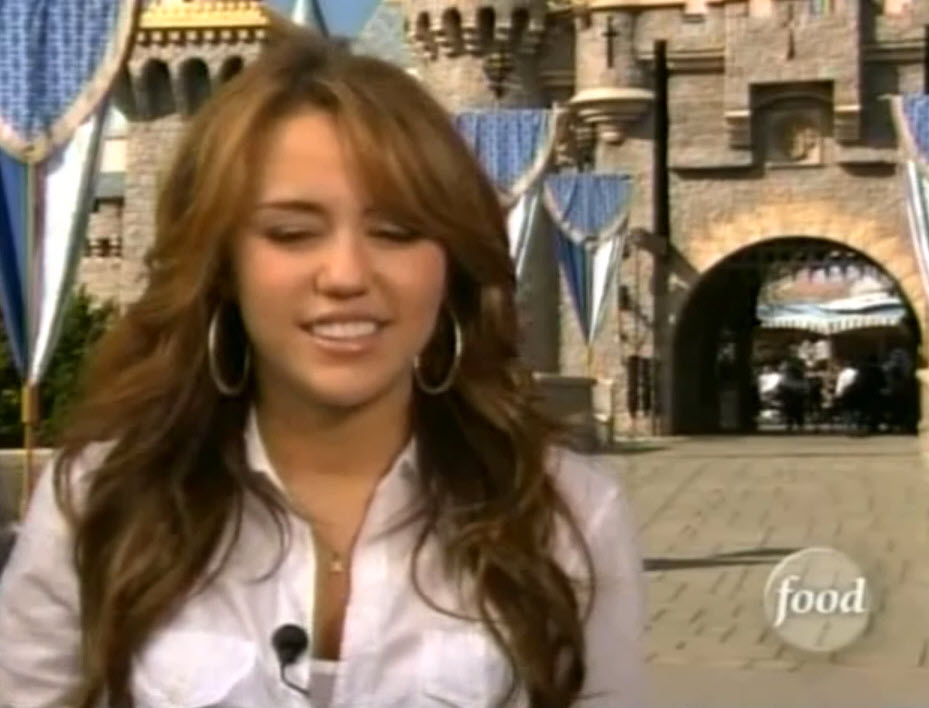 Food Network Challenge: Miley Cyrus Sweet 16 Cake (2009)