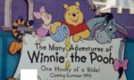 The Many Adventures of Winnie the Pooh (Disneyland vs Walt Disney World)