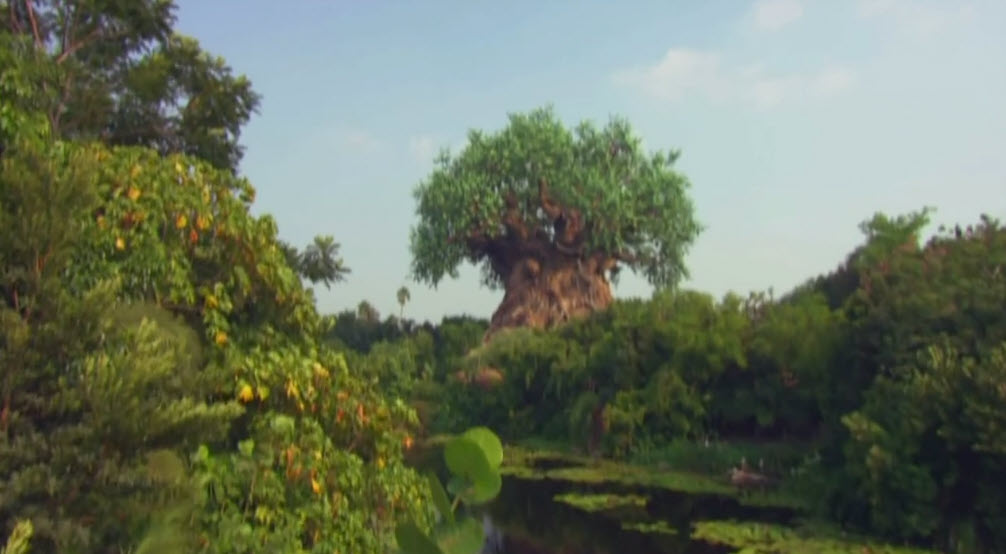 Disney Holiday Magic | Samantha Brown | Travel Channel | Disneyland | Walt Disney World | Christmas