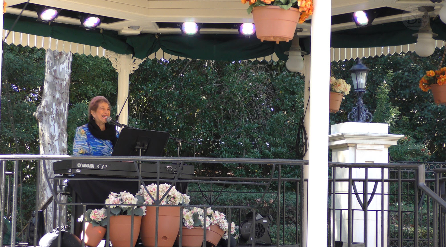 Epcot Festival of the Arts 2022 | Miss Carol | Carol Stein | UK Piano Lady | Walt Disney World