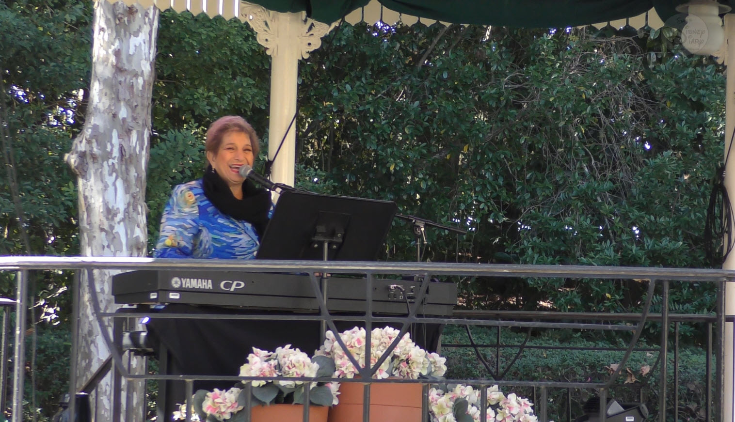 Epcot Festival of the Arts 2022 | Miss Carol | Carol Stein | UK Piano Lady | Walt Disney World