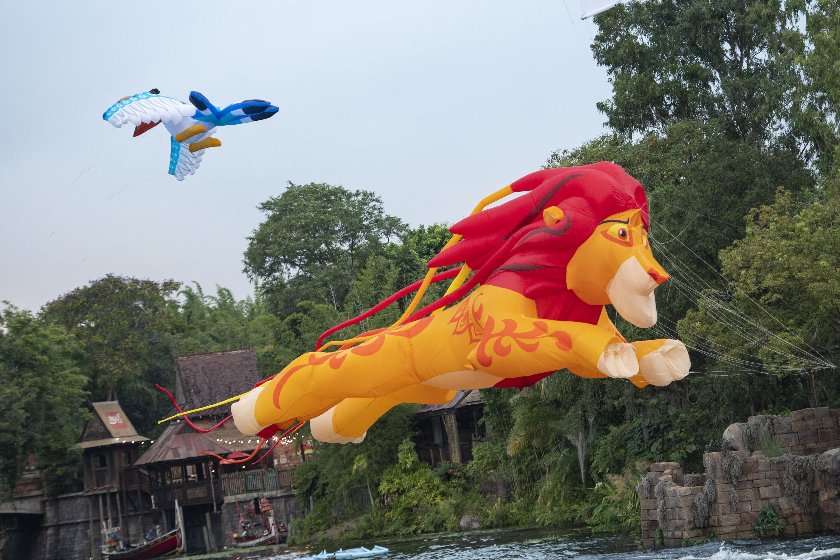 Animal Kingdom | Kitetaile | Lion King | Walt Disney World