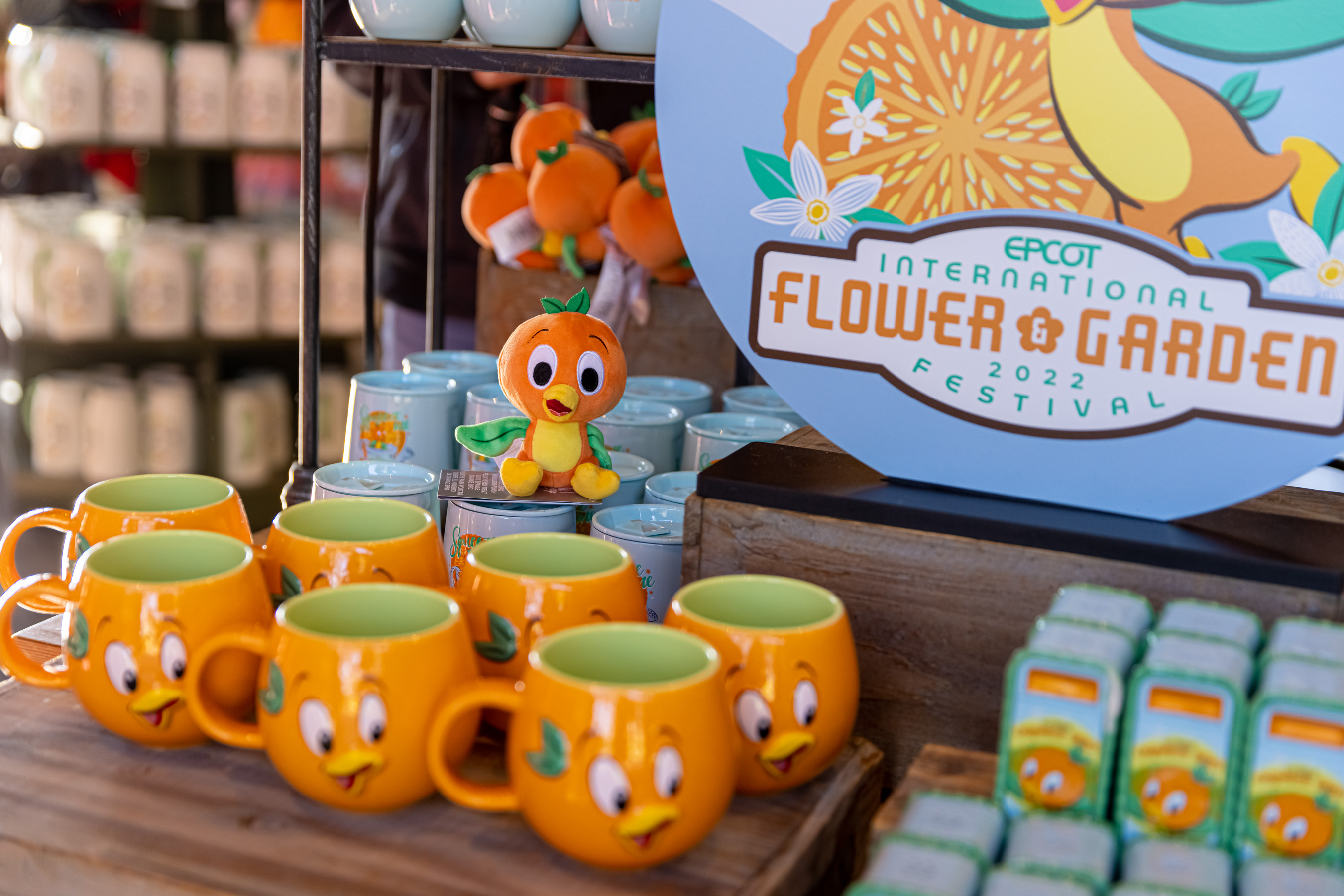 Epcot Flower and Garden Festival 2022 | Epcot Merchandise | Walt Disney World | Orange Bird