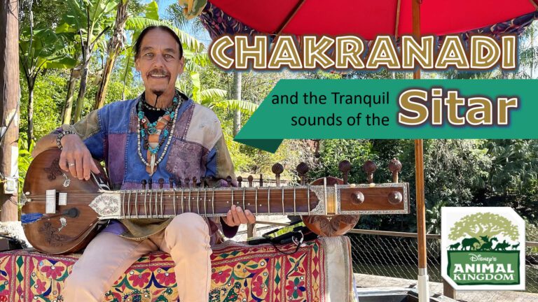Chakranadi and the Sitar | Walt Disney World | Animal Kingdom | Tranquil Indian Music | Cashmere