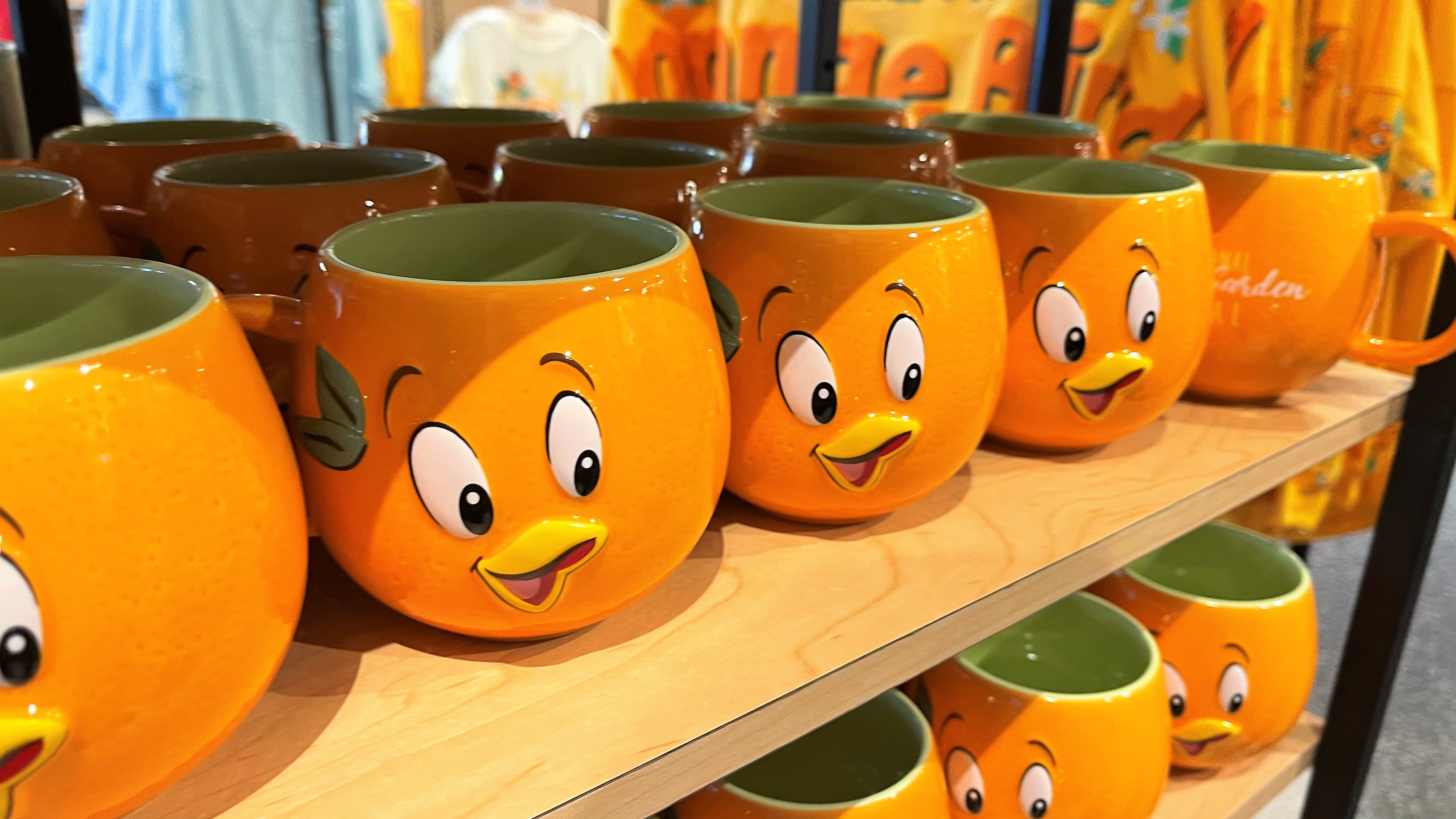 Epcot Flower and Garden Festival 2022 | Epcot Merchandise | Walt Disney World | Orange Bird