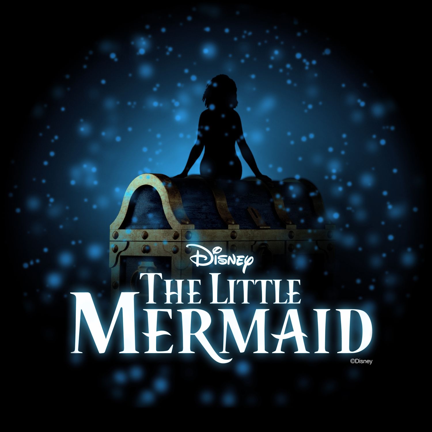 Disney Wish Disney The Little Mermaid