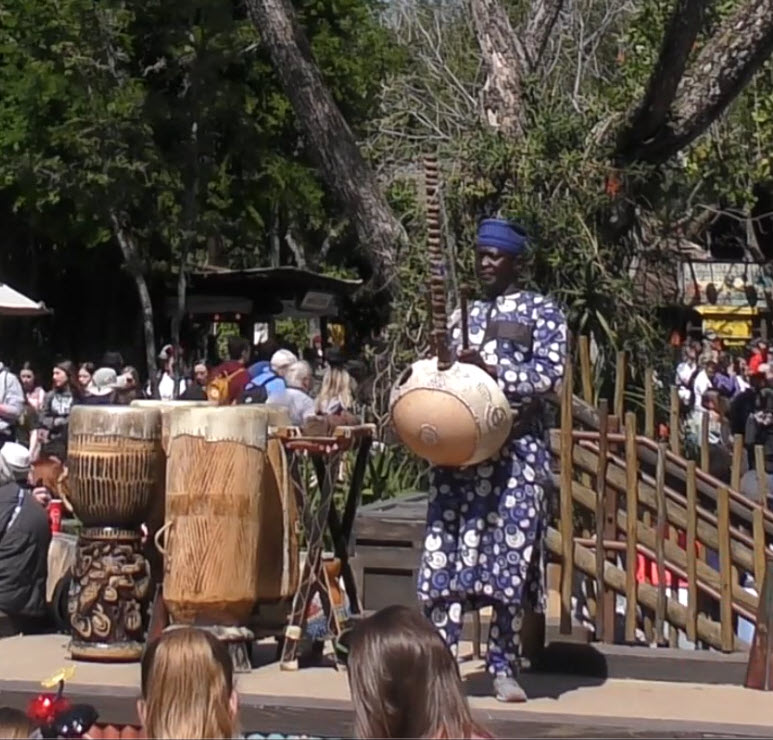 Kora Tinga Tinga | Walt Disney World | Animal Kingdom | African Kora | 2022 | African Music