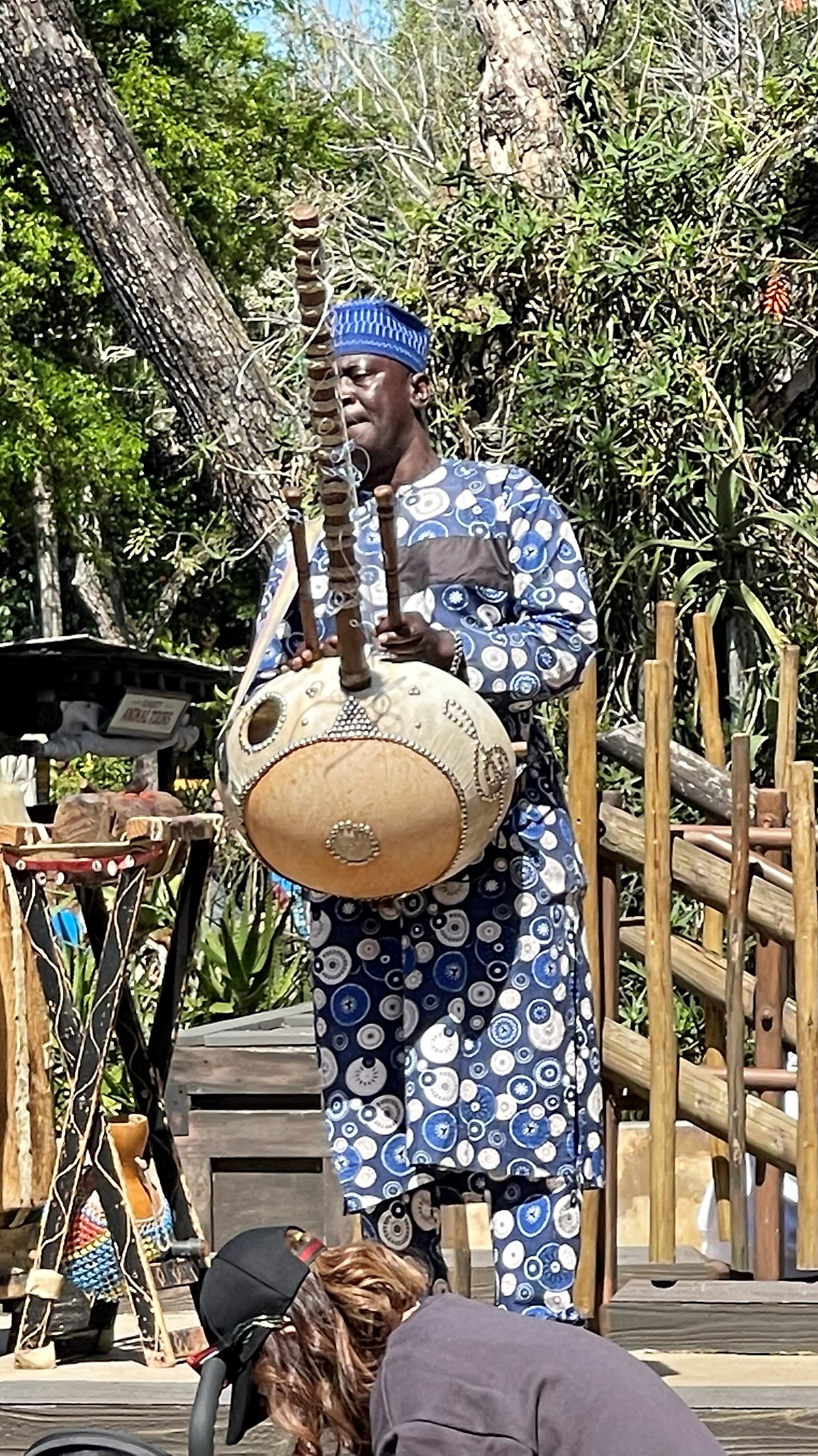 Kora Tinga Tinga | Walt Disney World | Animal Kingdom | African Kora | 2022 | African Music