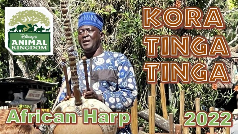 Kora Tinga Tinga | Walt Disney World | Animal Kingdom | African Kora | 2022 | African Music