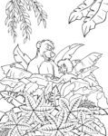 Disney Coloring Pages – Jungle Book