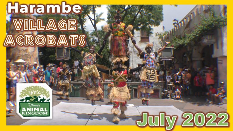 Harambe Village Acrobats | Animal Kingdom | Walt Disney World | July 2022