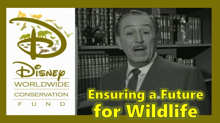 Disney Conservations Fund Ensuring the Future of Wildlife