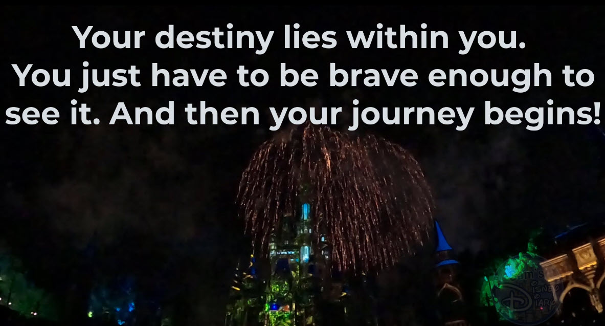 Happily Ever After | Full Script and Lyrics | Walt Disney World | Magic Kingdom | Fireworks